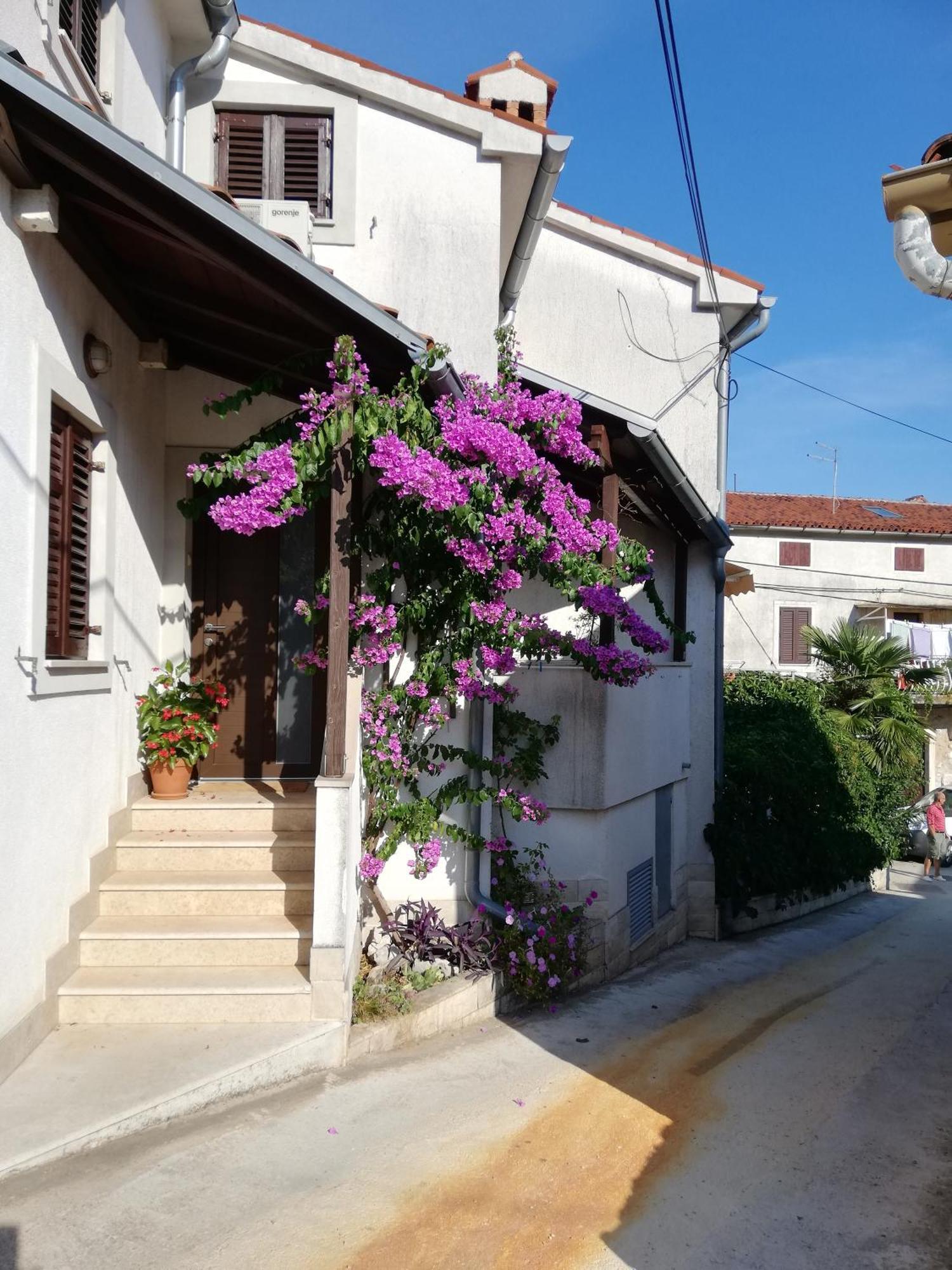 Renata - Appartement *