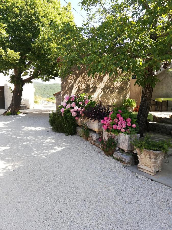 Apartment Renata - *