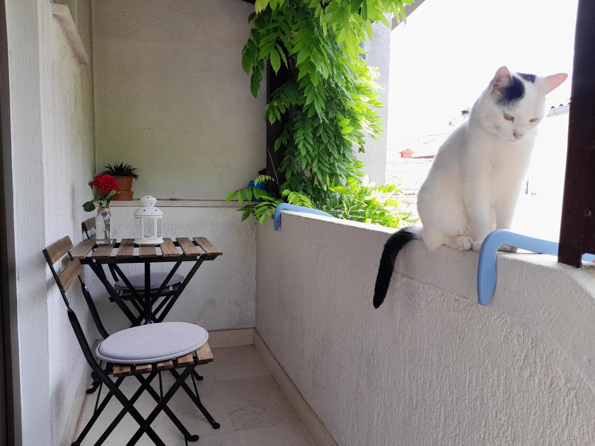 Renata - Apartment
