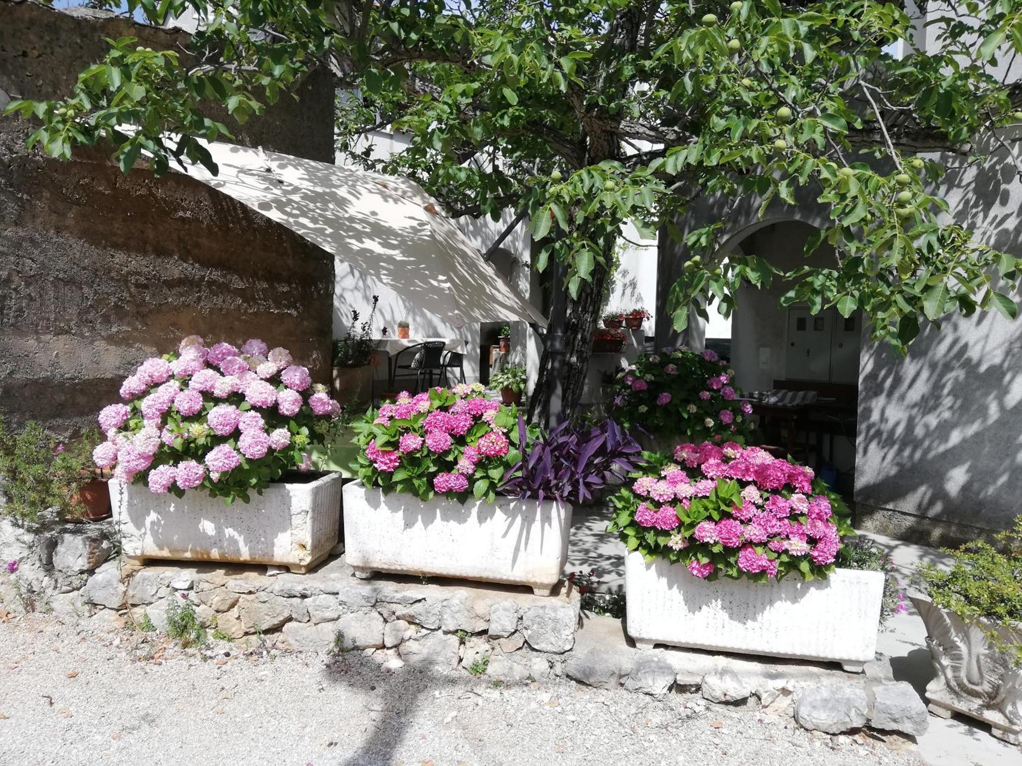 Apartment Renata - *